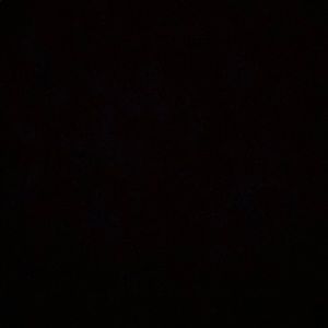 Meet your Posher, Elvis